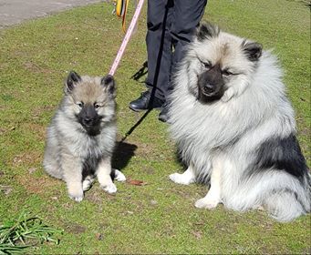 Baluna og Anabell