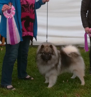 Frosty 27. april 2019 BIR og BIR junior