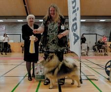 Frosty BIS3 Junior Lunderskov 2019