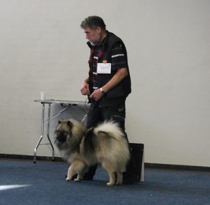 Frosty - Bedste JugenHund Dortmund 2018