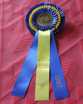 Frosty's Svenske certifikat roset 2. marts 20192