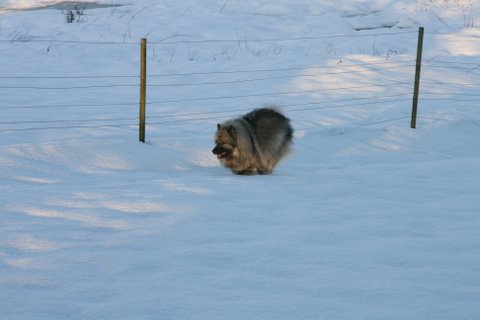 Danja tror fortsat Rocky er efter hende