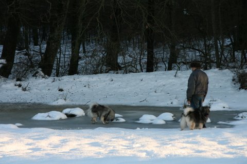 Jo, den holder.... - Det selvflgelig Danja der skal undersge det helt !