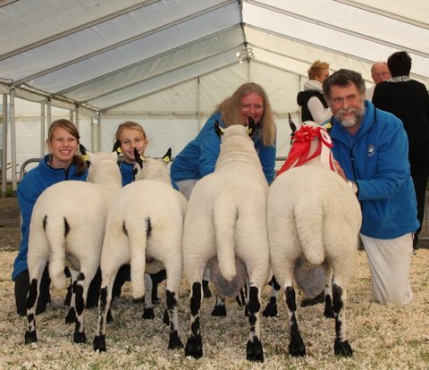 Skuets bedste bestningsgruppe - Aars 2016