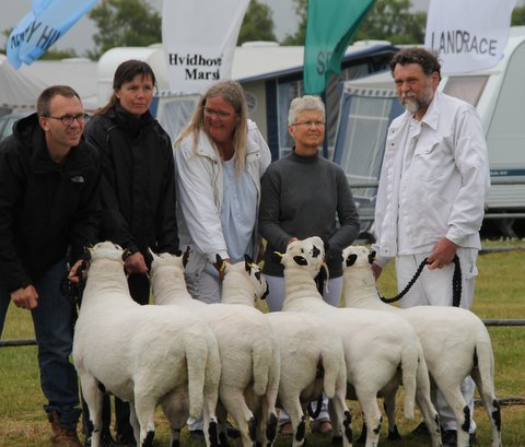 Besætningsgruppe Herning 2014