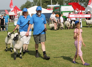 Billede fra raceparaden Herning 2015