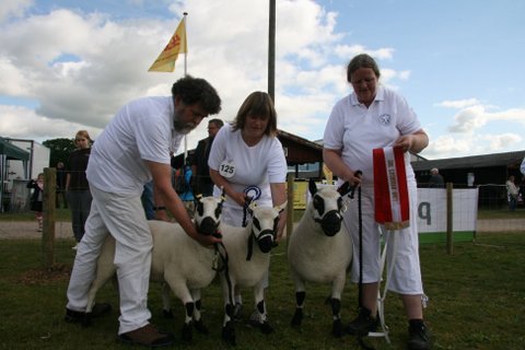 Skuets bedste bestningsgruppe - Hosens 2012