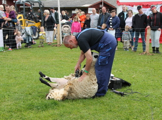 Arne klipper bare s flot !