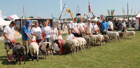 resprmierkken i Roskilde 2016