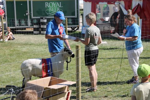 Sjllandsprmie vdderen Roskilde 2016