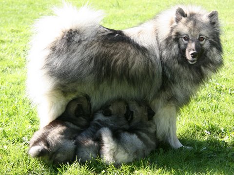 Danja og 'de 5' nyder luften og varmen - 5. maj 2010