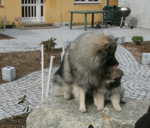 Danja og Lucca