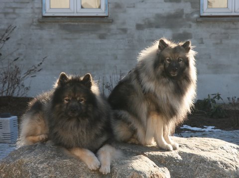 Rocky og Danja 6. marts 2011