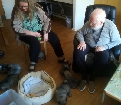 hvalpene hos Jørgen 15. april 2019