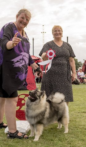 Moxie BIS1 hvalpe Fuglebjerg 2019