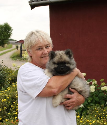 Pasha - Balou - sammen med sin nye familie