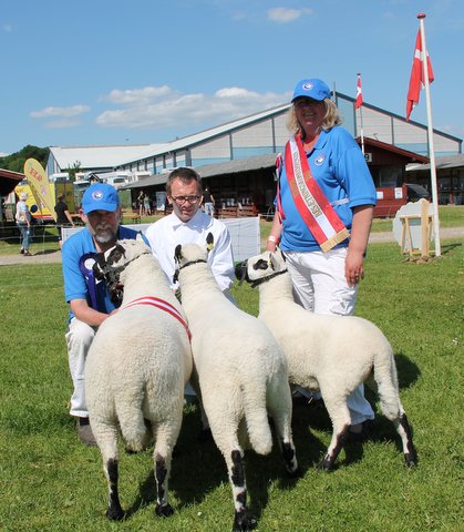 bestningsgruppe, bedste vdder og bedste 1 rs fr uden lam 2015