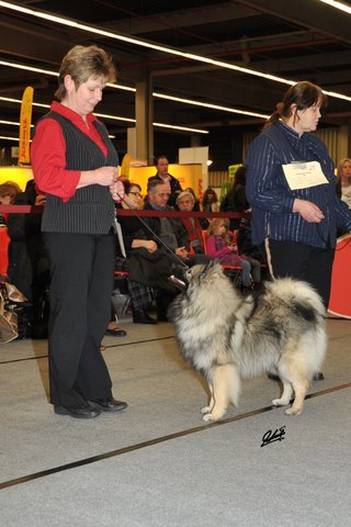 Yoko von Altern Nierstal - BOB i Nrnberg 2011