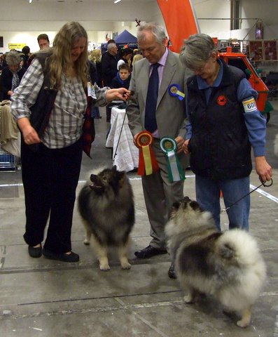 BIR og BIM - Malm� 2010