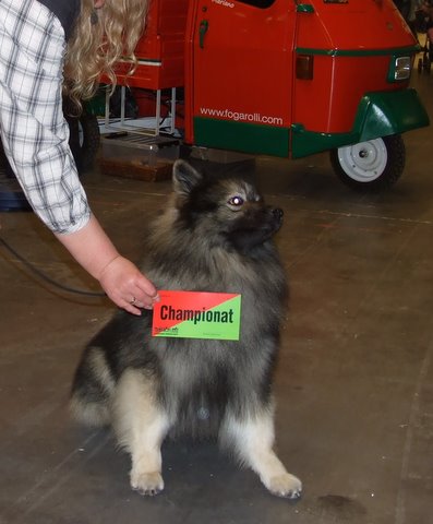 Rocky Svensk Champion i Malm� 2010