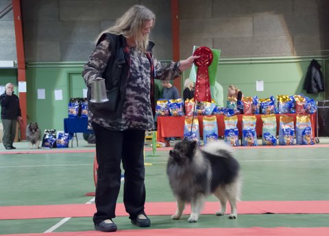 Rocky blev rets bedste avlshund - 2014