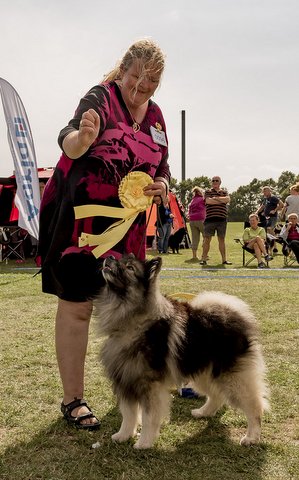 Rocky BIS3 Veteran Fuglebjerg 2019