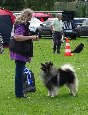 Rocky BIS2 Veteran Fuglebjerg 2017