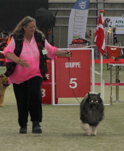 Rocky blev BIR og Kbenhavnsvinner 2013