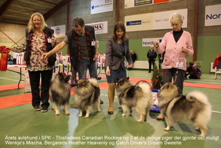 Rocky med Mischa, Luna og Switiie