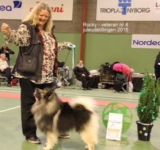 Rocky Bedste Veteran nr. 4 - 5. december 2015