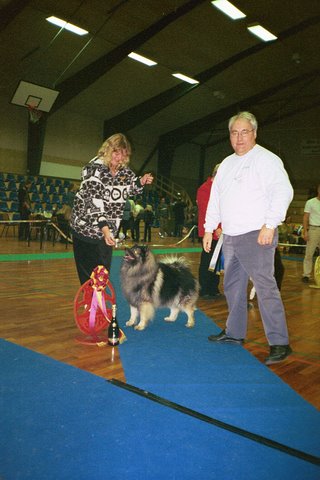 Alpines Rock Climbing Klompens - rets guldhund 2000