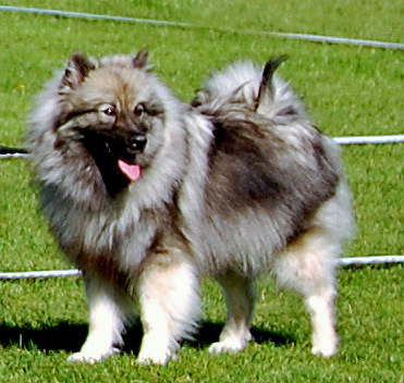 Danja den dag hun blev Dansk Champion