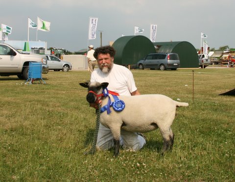 68977-00605 Engvang Krystel