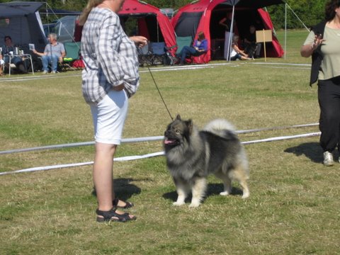 Rocky - efterr 2009