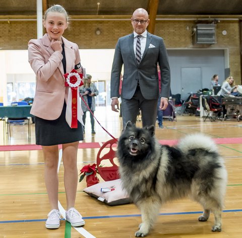 Josefine og Oline Juniorhandler nr. 1 Vissenbjerg 2019