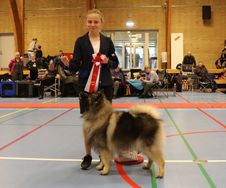 Josefine og Oline - Juniorhandler nr. 1 Bjverskov 2019