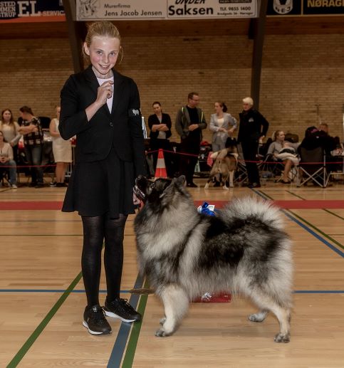 Josefine og Oline - Juniorhandler nr. 2 - Nrager