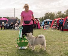 Uno BIS4 Baby Fuglebjerg Lrdag 2019