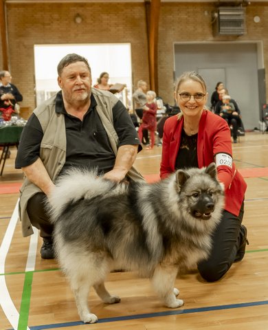 Uno BIS4 hvalpe Vissenbjerg 2019